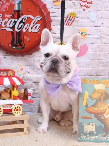 20230920ブーくん